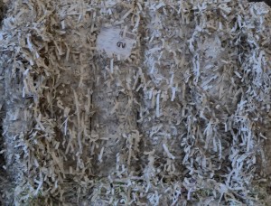 2.03.01-lightly-printed-white-shavings-without-glue-4-1052x800